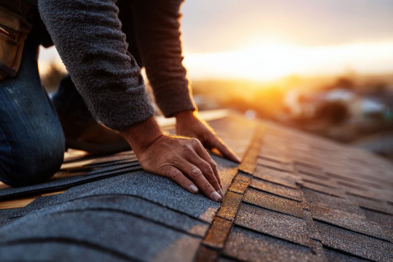 Skilled Roof Repair Technician